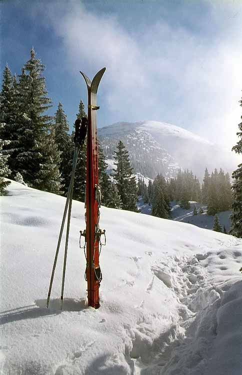 Schafreiter am 30.01.1972