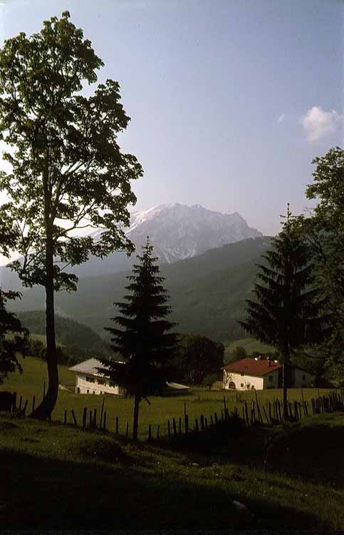 Wagendrischlhorn am 16.06.1974