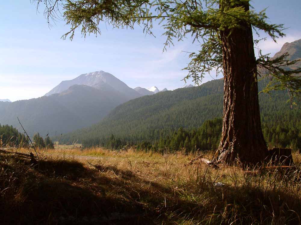 Muragl am 05.09.2003