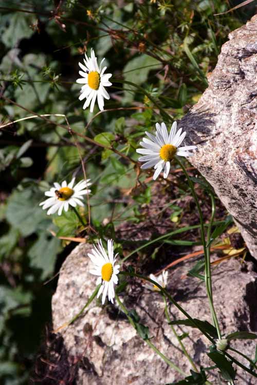 Mittertal am 27.09.2009